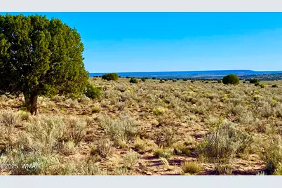 River Meadows Ranch Unit 3 Lot 204, Concho, AZ 85924 - Photo 4
