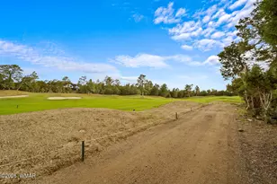1660 S Wheatgrass Ln, Show Low, AZ 85901 - Photo 46