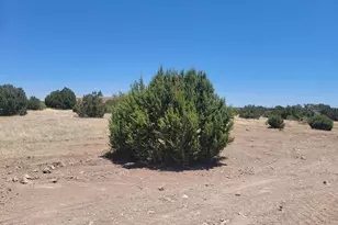 8430 Lake View Dr, Show Low, AZ 85901 - Photo 1