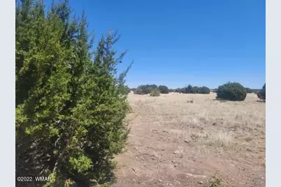 8430 Lake View Drive, Show Low, AZ 85901 - Photo 2
