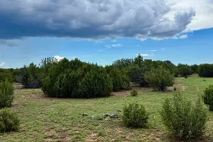 116 County Rd 8127, Concho, AZ 85924 - Photo 1