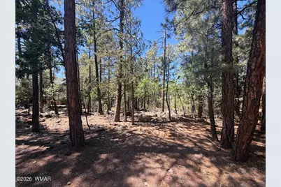 688 Pine Creek Drive, Lakeside, AZ 85929 - Photo 18