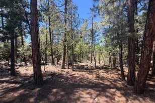 688 Pine Creek Dr, Lakeside, AZ 85929 - Photo 18