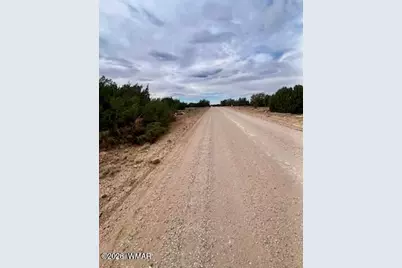 108 Co Rd 8127 Road, Concho, AZ 85924 - Photo 1