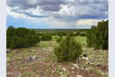 129 Co Rd 8051, Concho, AZ 85924 - Photo 6