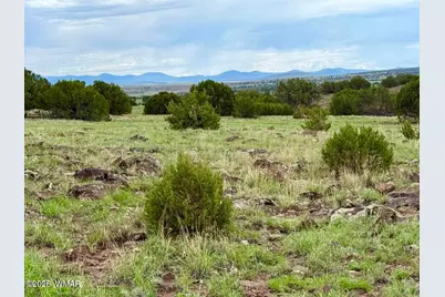 129 Co Rd 8051, Concho, AZ 85924 - Photo 1