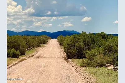 125 Co Rd 8051, Concho, AZ 85924 - Photo 18