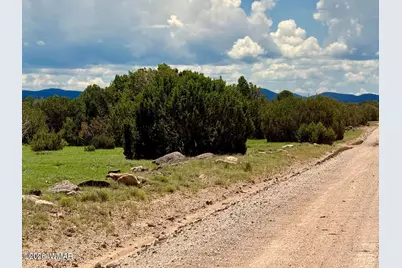 125 Co Rd 8051, Concho, AZ 85924 - Photo 2