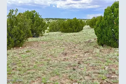 125 Co Rd 8051, Concho, AZ 85924 - Photo 10