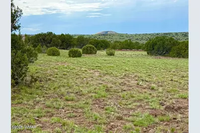 125 Co Rd 8051, Concho, AZ 85924 - Photo 12