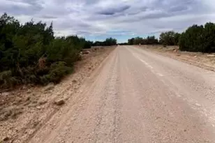 121 125 127 &amp 129 Co Rd 8051, Concho, AZ 85924 - Photo 1