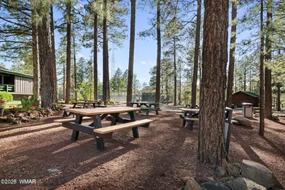 6378 Christmas Tree Circle, Pinetop, AZ 85935 - Photo 68