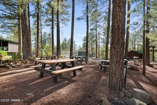 6378 Christmas Tree Cir, Pinetop, AZ 85935 - Photo 68
