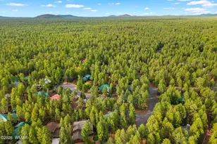 6378 Christmas Tree Cir, Pinetop, AZ 85935 - Photo 48