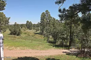 1644 W White Mountain Blvd, Lakeside, AZ 85929 - Photo 48