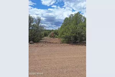 8273 Ridge Drive, Show Low, AZ 85901 - Photo 12