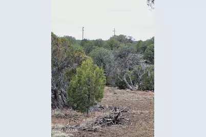 8273 Ridge Drive, Show Low, AZ 85901 - Photo 10