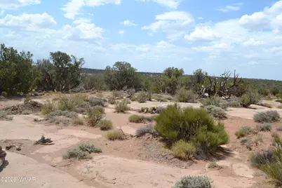 3813 S Hay Hollow Road, Snowflake, AZ 85937 - Photo 12