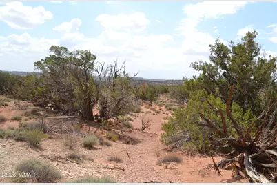 3813 S Hay Hollow Road, Snowflake, AZ 85937 - Photo 16