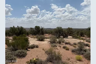 3813 S Hay Hollow Road, Snowflake, AZ 85937 - Photo 38