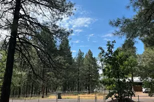 2878 Pinon Pine Dr, Show Low, AZ 85901 - Photo 6