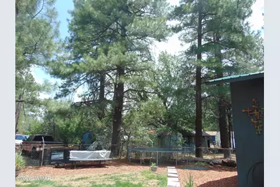 2878 Pinon Pine Drive, Show Low, AZ 85901 - Photo 20
