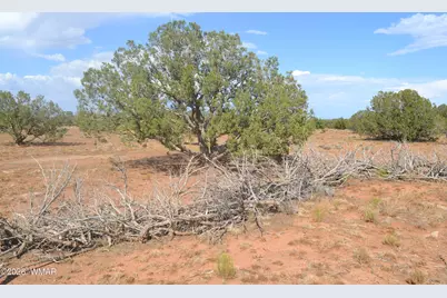 1771 W Ridgeview Ranch Drive, Snowflake, AZ 85937 - Photo 10