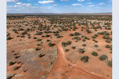 76 County Road N5552, Concho, AZ 85924 - Photo 22