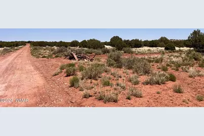 4161 S Pinto Road, Snowflake, AZ 85937 - Photo 1