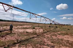 9656 Woodruff Hay Hollow Rd, Snowflake, AZ 85937 - Photo 6