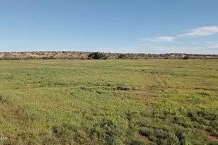 9656 Woodruff Hay Hollow Rd, Snowflake, AZ 85937 - Photo 26