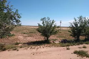 9656 Woodruff Hay Hollow Rd, Snowflake, AZ 85937 - Photo 8