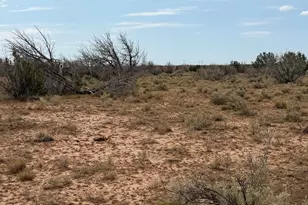1037 Mira Rd, Heber, AZ 85928 - Photo 1