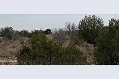 1037 Mira Road, Unit #6, Heber, AZ 85928 - Photo 14
