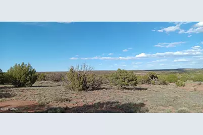 9730 Texas Lane, Show Low, AZ 85901 - Photo 4