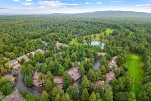 3712 Crown Dancer Dr, Pinetop, AZ 85935 - Photo 42