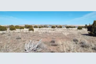 Tbd Parcel 107-52-046, Concho, AZ 85924 - Photo 18