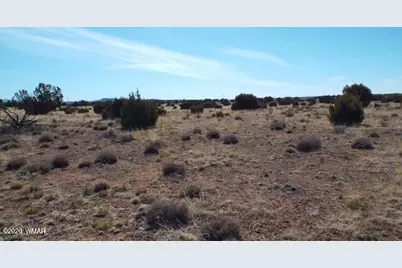 Tbd Parcel 107-52-046, Concho, AZ 85924 - Photo 10