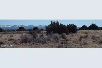 Tbd Parcel 107-52-046, Concho, AZ 85924 - Photo 6