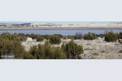 Tbd Parcel 107-52-046, Concho, AZ 85924 - Photo 8