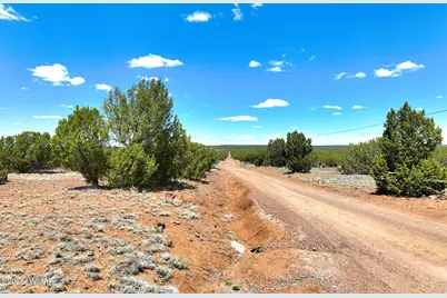 9184D Chimisa Ranch, Show Low, AZ 85901 - Photo 4