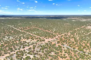 9184D Chimisa Ranch, Show Low, AZ 85901 - Photo 1