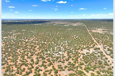 9184D Chimisa Ranch, Show Low, AZ 85901 - Photo 8