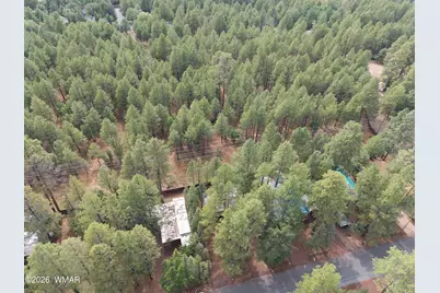 3690 Mark Twain Drive, Pinetop, AZ 85935 - Photo 22
