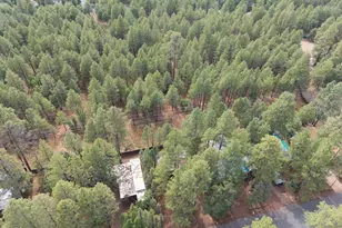 3690 Mark Twain Dr, Pinetop, AZ 85935 - Photo 22