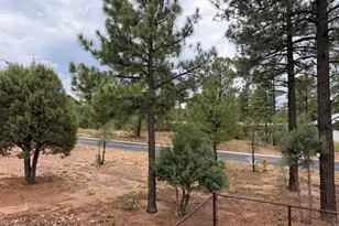 1080 S Redberry Dr, Show Low, AZ 85901 - Photo 14
