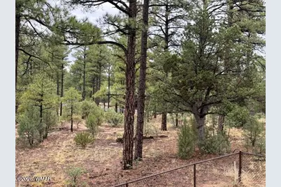 1080 S Redberry Drive, Show Low, AZ 85901 - Photo 16