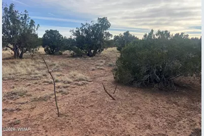 Lot 93 N8492, Concho, AZ 85924 - Photo 26