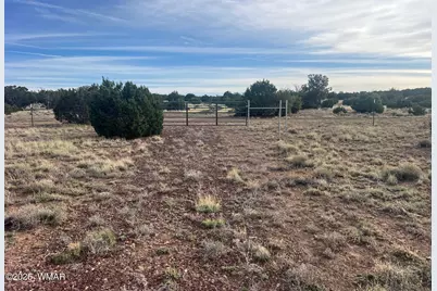 Lot 93 N8492, Concho, AZ 85924 - Photo 10