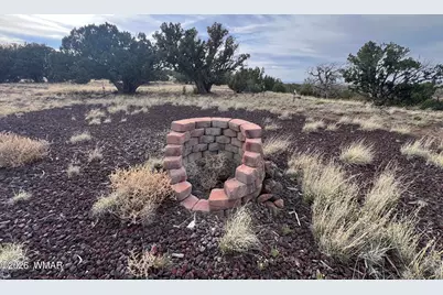 Lot 93 N8492, Concho, AZ 85924 - Photo 12
